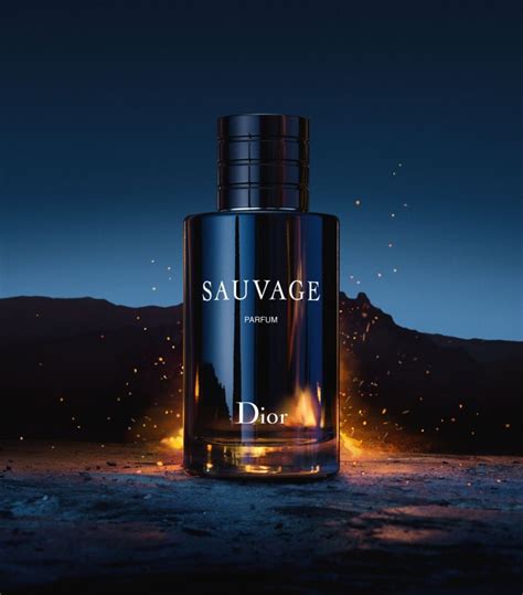 sauvage dior femme|fragrances like Dior Sauvage.